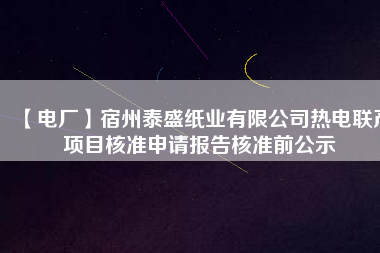 【電廠】宿州泰盛紙業(yè)有限公司熱電聯(lián)產(chǎn)項目核準(zhǔn)申請報告核準(zhǔn)前公示