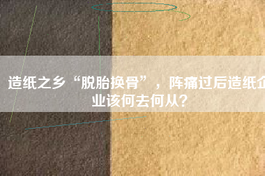 造紙之鄉“脫胎換骨”，陣痛過后造紙企業該何去何從？
