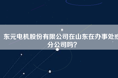 東元電機股份有限公司在山東在辦事處或分公司嗎?