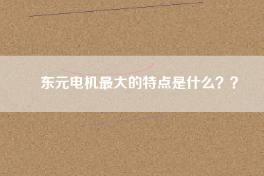 東元電機最大的特點是什么？？