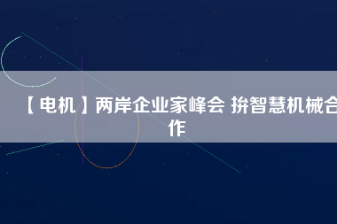【電機】兩岸企業(yè)家峰會 拚智慧機械合作 - TECO東元電機 | 變頻器·伺服電機·減速機·電機解決方案