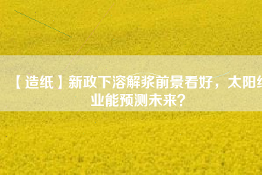 【造紙】新政下溶解漿前景看好，太陽(yáng)紙業(yè)能預(yù)測(cè)未來(lái)？