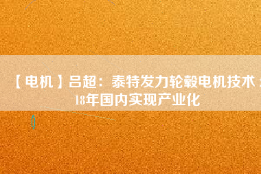 【電機】呂超:泰特發力輪轂電機技術 2018年國內實現產業化 - TECO東元電機 | 變頻器·伺服電機·減速機·電機解決方案