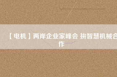 【電機】兩岸企業(yè)家峰會 拚智慧機械合作 - TECO東元電機 | 變頻器·伺服電機·減速機·電機解決方案