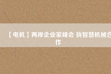 【電機】兩岸企業(yè)家峰會 拚智慧機械合作 - TECO東元電機 | 變頻器·伺服電機·減速機·電機解決方案