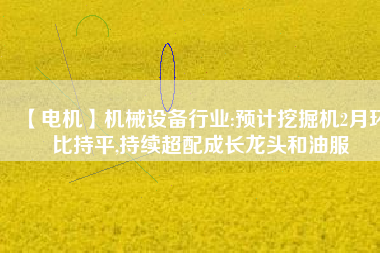 【電機】機械設備行業:預計挖掘機2月環比持平,持續超配成長龍頭和油服 - TECO東元電機 | 變頻器·伺服電機·減速機·電機解決方案