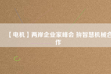 【電機】兩岸企業(yè)家峰會 拚智慧機械合作 - TECO東元電機 | 變頻器·伺服電機·減速機·電機解決方案