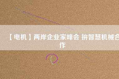 【電機】兩岸企業(yè)家峰會 拚智慧機械合作 - TECO東元電機 | 變頻器·伺服電機·減速機·電機解決方案