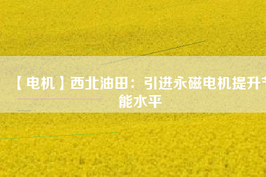 【電機】西北油田：引進永磁電機提升節能水平 - TECO東元電機 | 變頻器·伺服電機·減速機·電機解決方案