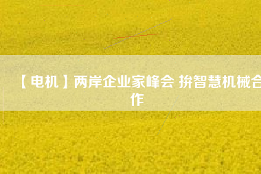 【電機】兩岸企業(yè)家峰會 拚智慧機械合作 - TECO東元電機 | 變頻器·伺服電機·減速機·電機解決方案