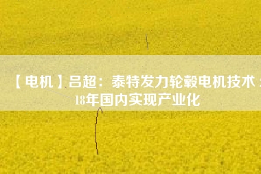 【電機】呂超:泰特發力輪轂電機技術 2018年國內實現產業化 - TECO東元電機 | 變頻器·伺服電機·減速機·電機解決方案