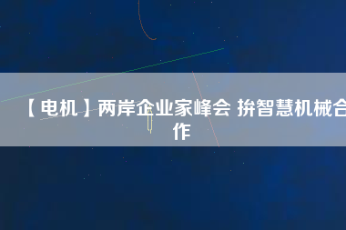 【電機】兩岸企業(yè)家峰會 拚智慧機械合作 - TECO東元電機 | 變頻器·伺服電機·減速機·電機解決方案