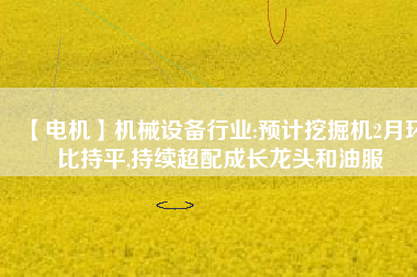 【電機】機械設備行業:預計挖掘機2月環比持平,持續超配成長龍頭和油服 - TECO東元電機 | 變頻器·伺服電機·減速機·電機解決方案