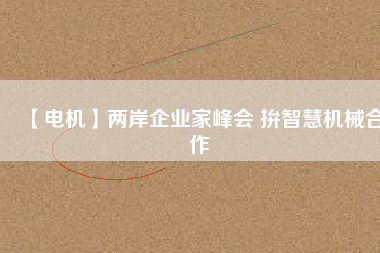【電機】兩岸企業(yè)家峰會 拚智慧機械合作 - TECO東元電機 | 變頻器·伺服電機·減速機·電機解決方案