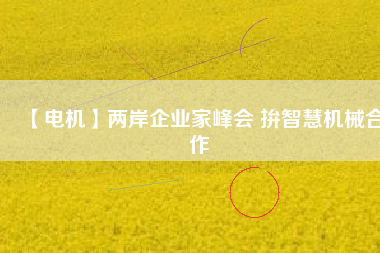 【電機】兩岸企業(yè)家峰會 拚智慧機械合作 - TECO東元電機 | 變頻器·伺服電機·減速機·電機解決方案