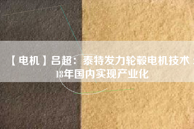 【電機】呂超:泰特發力輪轂電機技術 2018年國內實現產業化 - TECO東元電機 | 變頻器·伺服電機·減速機·電機解決方案