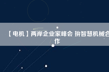 【電機】兩岸企業(yè)家峰會 拚智慧機械合作 - TECO東元電機 | 變頻器·伺服電機·減速機·電機解決方案