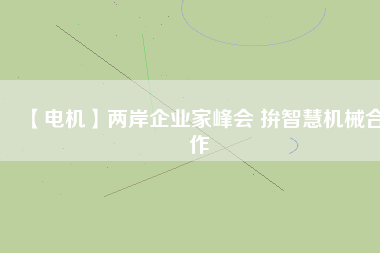 【電機】兩岸企業(yè)家峰會 拚智慧機械合作 - TECO東元電機 | 變頻器·伺服電機·減速機·電機解決方案