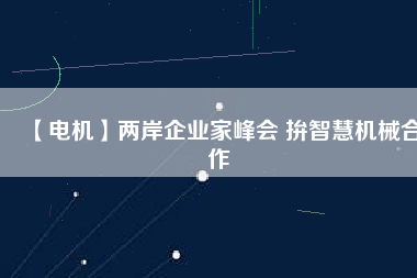 【電機】兩岸企業(yè)家峰會 拚智慧機械合作 - TECO東元電機 | 變頻器·伺服電機·減速機·電機解決方案