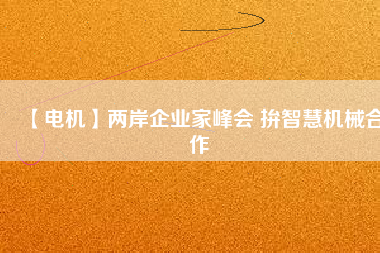 【電機】兩岸企業(yè)家峰會 拚智慧機械合作 - TECO東元電機 | 變頻器·伺服電機·減速機·電機解決方案