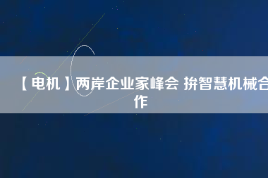 【電機】兩岸企業(yè)家峰會 拚智慧機械合作 - TECO東元電機 | 變頻器·伺服電機·減速機·電機解決方案