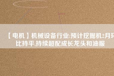 【電機】機械設備行業:預計挖掘機2月環比持平,持續超配成長龍頭和油服 - TECO東元電機 | 變頻器·伺服電機·減速機·電機解決方案