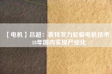 【電機】呂超:泰特發力輪轂電機技術 2018年國內實現產業化 - TECO東元電機 | 變頻器·伺服電機·減速機·電機解決方案