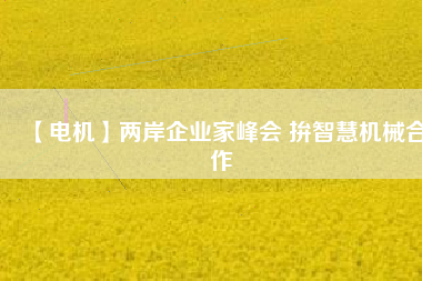 【電機】兩岸企業(yè)家峰會 拚智慧機械合作 - TECO東元電機 | 變頻器·伺服電機·減速機·電機解決方案