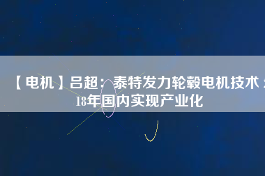 【電機】呂超:泰特發力輪轂電機技術 2018年國內實現產業化 - TECO東元電機 | 變頻器·伺服電機·減速機·電機解決方案