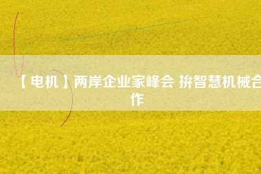 【電機】兩岸企業(yè)家峰會 拚智慧機械合作 - TECO東元電機 | 變頻器·伺服電機·減速機·電機解決方案