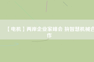 【電機】兩岸企業(yè)家峰會 拚智慧機械合作 - TECO東元電機 | 變頻器·伺服電機·減速機·電機解決方案