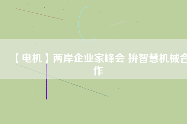 【電機】兩岸企業(yè)家峰會 拚智慧機械合作 - TECO東元電機 | 變頻器·伺服電機·減速機·電機解決方案