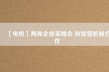 【電機】兩岸企業(yè)家峰會 拚智慧機械合作 - TECO東元電機 | 變頻器·伺服電機·減速機·電機解決方案