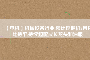 【電機】機械設備行業:預計挖掘機2月環比持平,持續超配成長龍頭和油服 - TECO東元電機 | 變頻器·伺服電機·減速機·電機解決方案