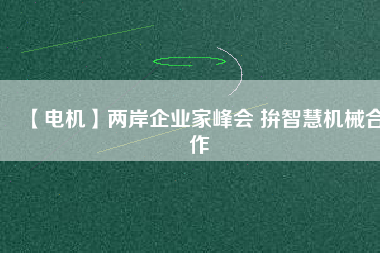 【電機】兩岸企業(yè)家峰會 拚智慧機械合作 - TECO東元電機 | 變頻器·伺服電機·減速機·電機解決方案