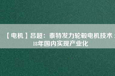 【電機】呂超:泰特發力輪轂電機技術 2018年國內實現產業化 - TECO東元電機 | 變頻器·伺服電機·減速機·電機解決方案
