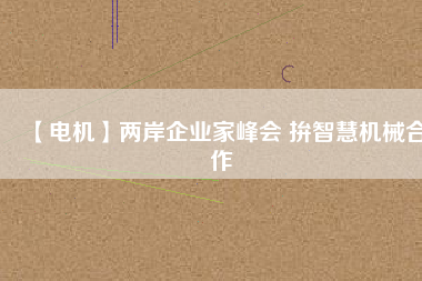 【電機】兩岸企業(yè)家峰會 拚智慧機械合作 - TECO東元電機 | 變頻器·伺服電機·減速機·電機解決方案