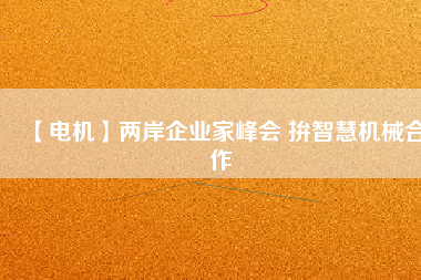 【電機】兩岸企業(yè)家峰會 拚智慧機械合作 - TECO東元電機 | 變頻器·伺服電機·減速機·電機解決方案