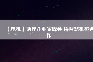 【電機】兩岸企業(yè)家峰會 拚智慧機械合作 - TECO東元電機 | 變頻器·伺服電機·減速機·電機解決方案
