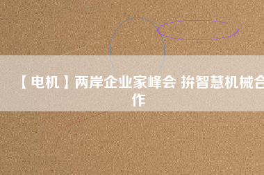 【電機】兩岸企業(yè)家峰會 拚智慧機械合作 - TECO東元電機 | 變頻器·伺服電機·減速機·電機解決方案