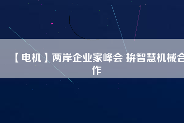 【電機】兩岸企業(yè)家峰會 拚智慧機械合作 - TECO東元電機 | 變頻器·伺服電機·減速機·電機解決方案