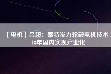 【電機】呂超:泰特發力輪轂電機技術 2018年國內實現產業化 - TECO東元電機 | 變頻器·伺服電機·減速機·電機解決方案