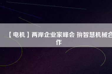 【電機】兩岸企業(yè)家峰會 拚智慧機械合作 - TECO東元電機 | 變頻器·伺服電機·減速機·電機解決方案