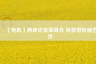 【電機】兩岸企業(yè)家峰會 拚智慧機械合作 - TECO東元電機 | 變頻器·伺服電機·減速機·電機解決方案