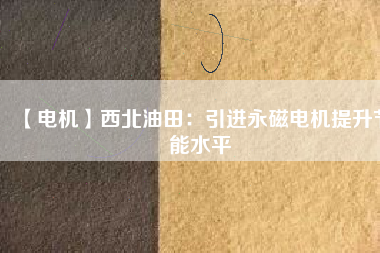 【電機】西北油田：引進永磁電機提升節能水平 - TECO東元電機 | 變頻器·伺服電機·減速機·電機解決方案