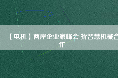 【電機】兩岸企業(yè)家峰會 拚智慧機械合作 - TECO東元電機 | 變頻器·伺服電機·減速機·電機解決方案