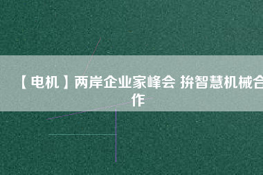 【電機】兩岸企業(yè)家峰會 拚智慧機械合作 - TECO東元電機 | 變頻器·伺服電機·減速機·電機解決方案