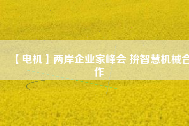 【電機】兩岸企業(yè)家峰會 拚智慧機械合作 - TECO東元電機 | 變頻器·伺服電機·減速機·電機解決方案
