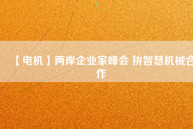 【電機】兩岸企業(yè)家峰會 拚智慧機械合作 - TECO東元電機 | 變頻器·伺服電機·減速機·電機解決方案