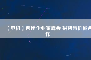 【電機】兩岸企業(yè)家峰會 拚智慧機械合作 - TECO東元電機 | 變頻器·伺服電機·減速機·電機解決方案